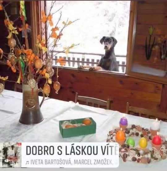 VESELÉ VELIKONOCE VŠEM ČLENŮM, JEJICH RODINÁM I PŘÁTELŮM A PŘÍZNIVCŮM KLUBU